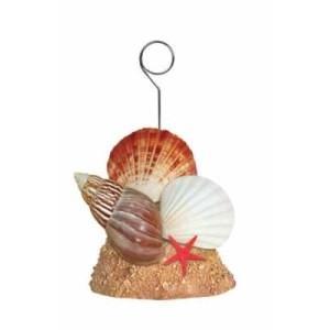 Sea Shells