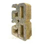 2024 Foam Cut Out (College Font)